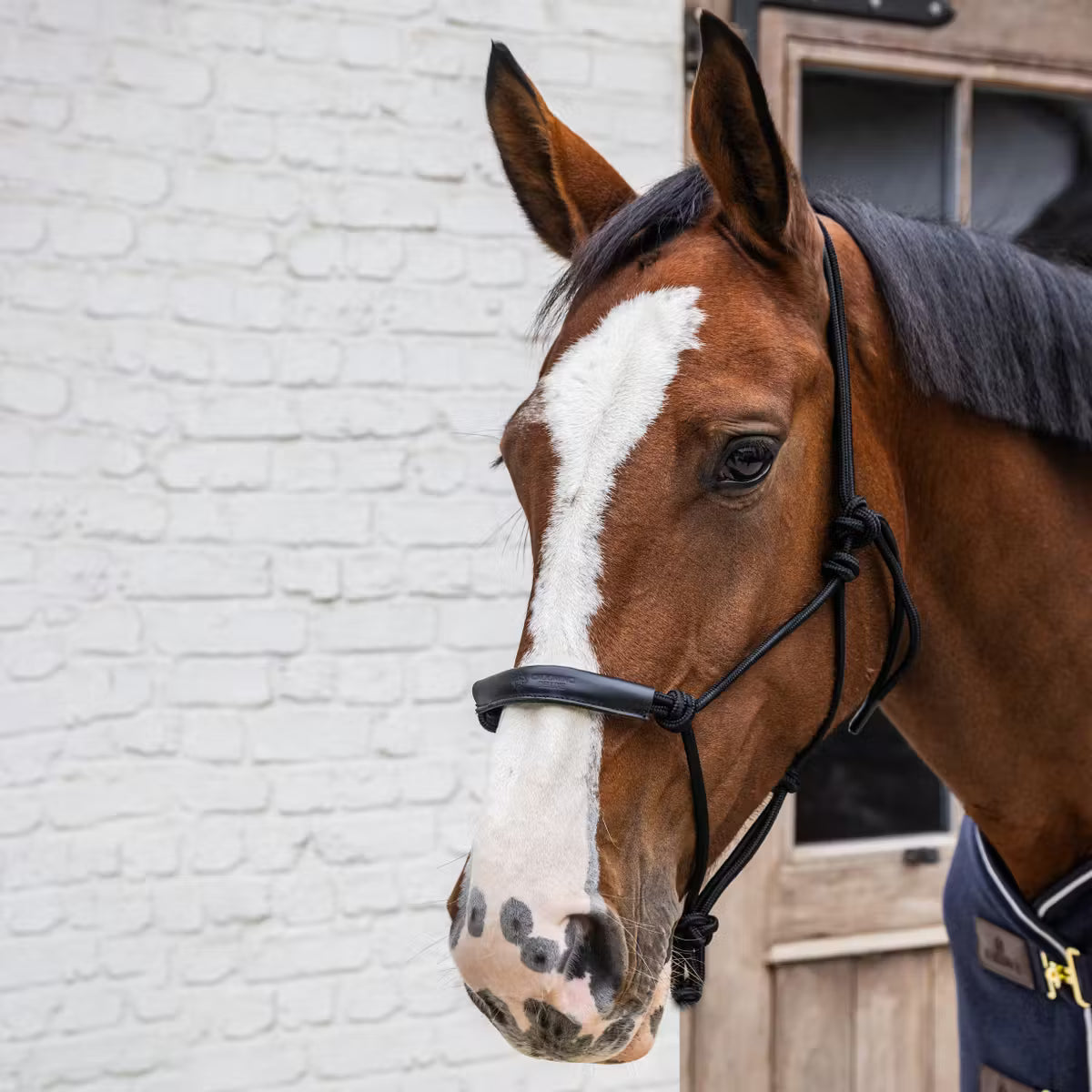 ROPE Halter