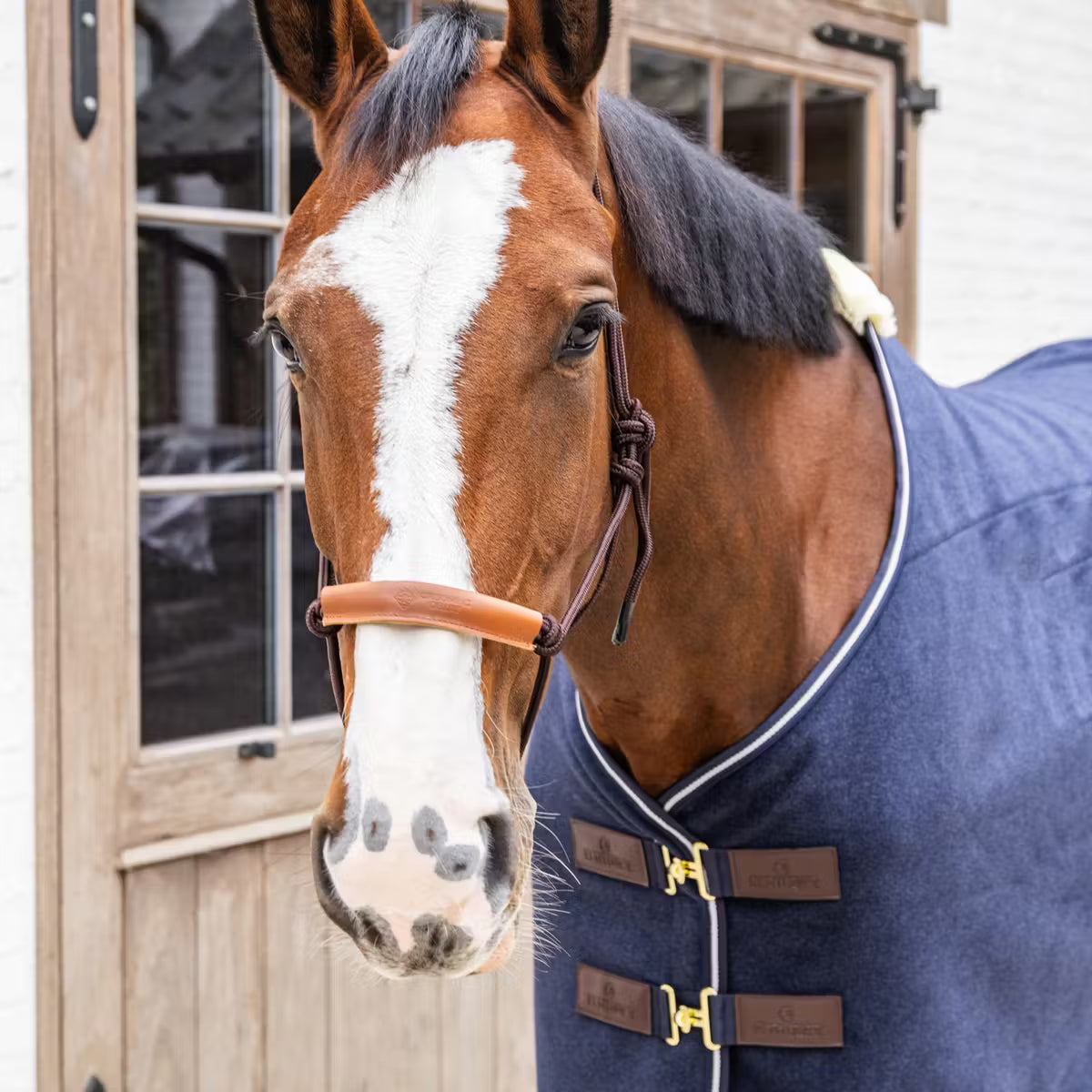 ROPE Halter