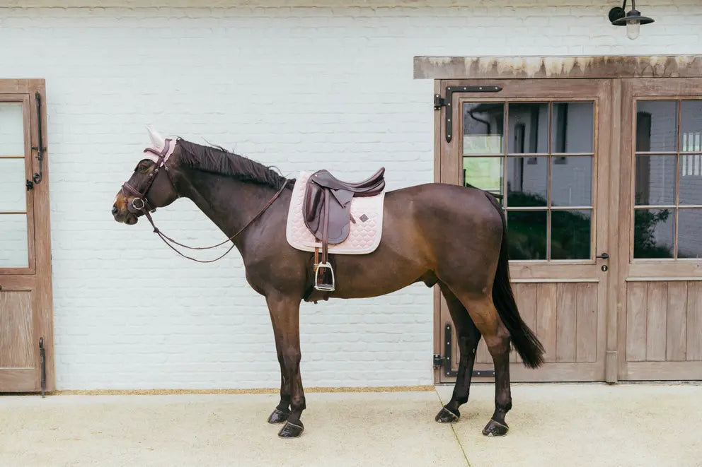 Saddle Pad Plaited Cord DRESSAGE | + Colors