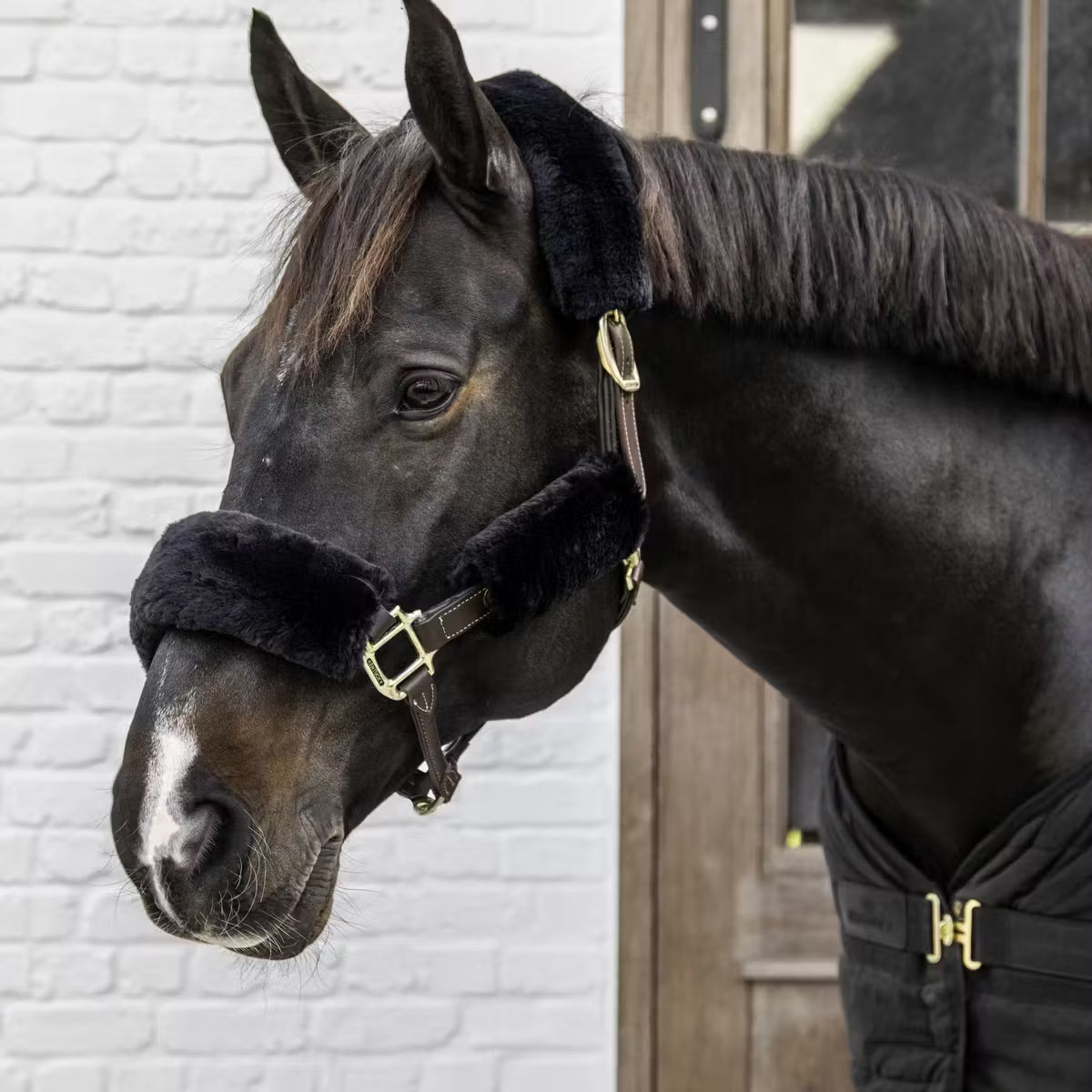 Sheepskin Halter Set Of 4