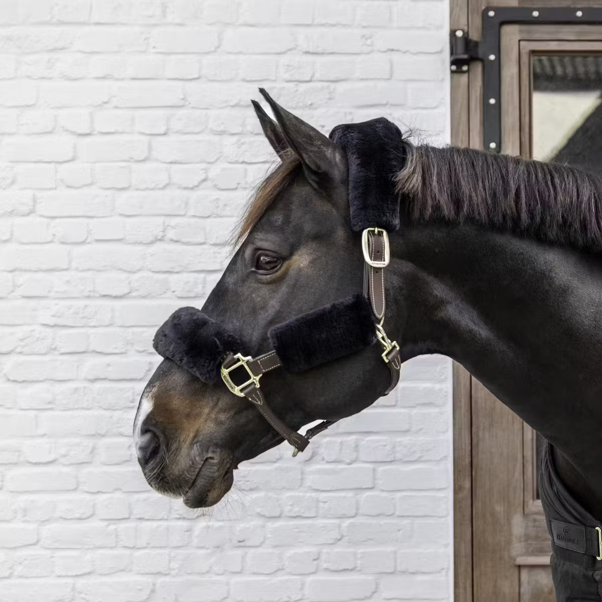 Sheepskin Halter Set Of 4