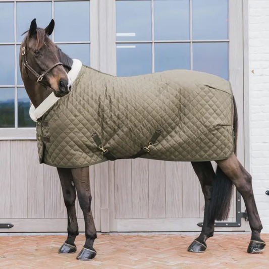 NEW! Show Rug 160g | Kaki