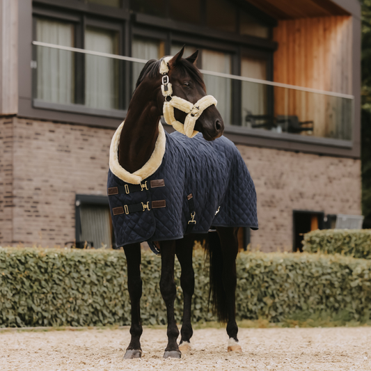 Show Rug 160g | Navy