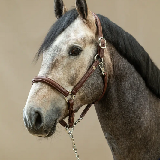 Soft Leather Halter