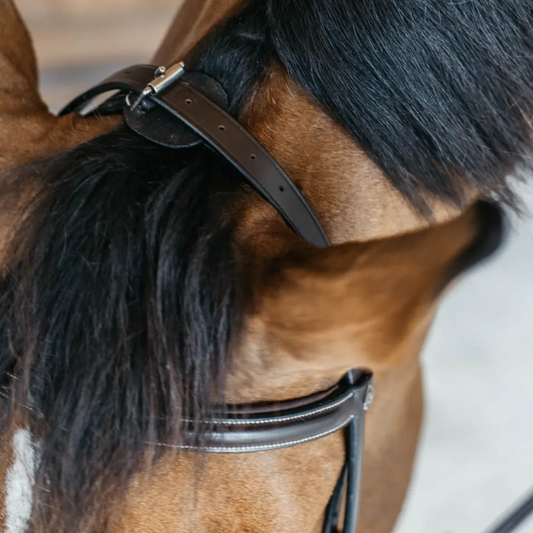 Training Bridle | WORKING BY DY'ON