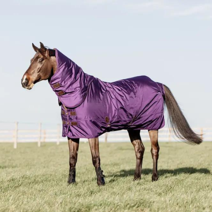 NEW! Turnout Rug All Weather Waterproof Pro 160g | Royal Purple