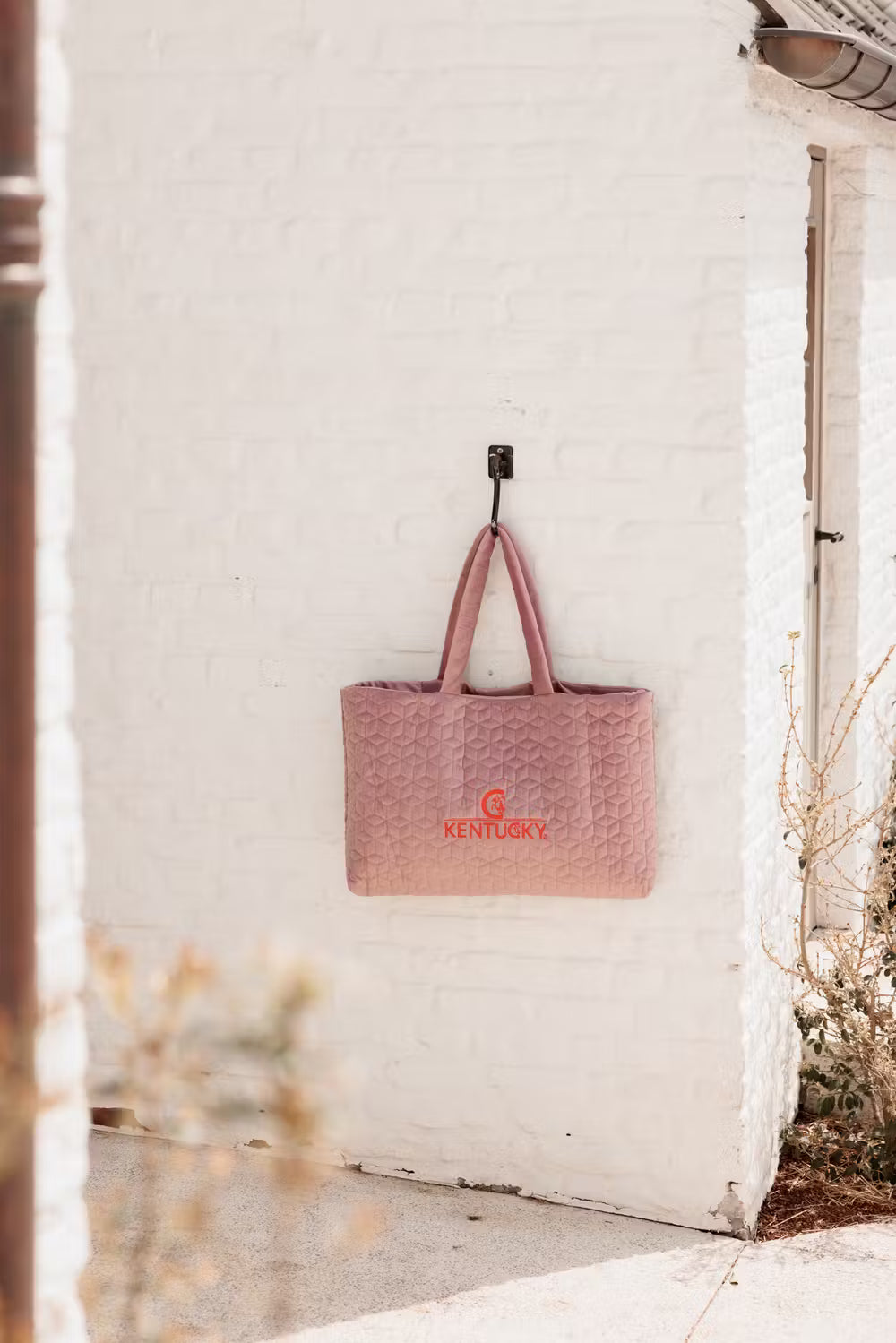 Kentucky Rug Bags Velvet Bag Kentucky Logo – LouRi & Co.