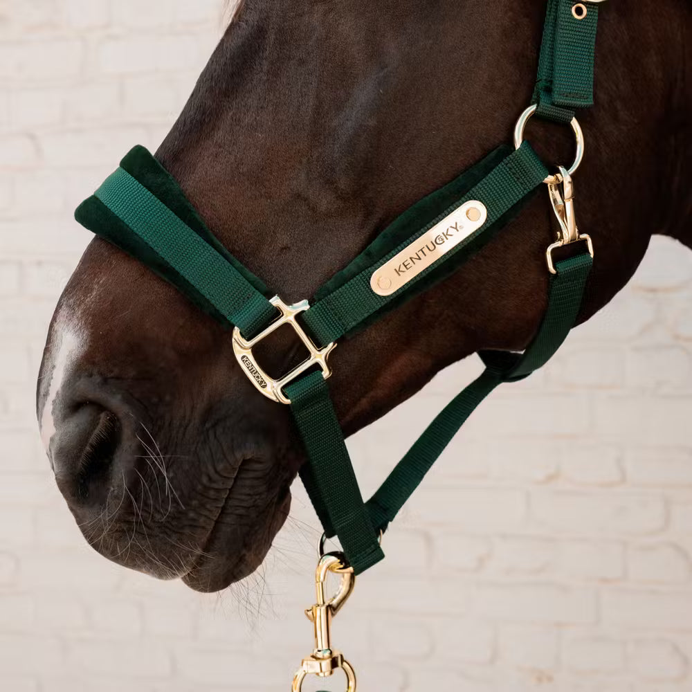VELVET Halter