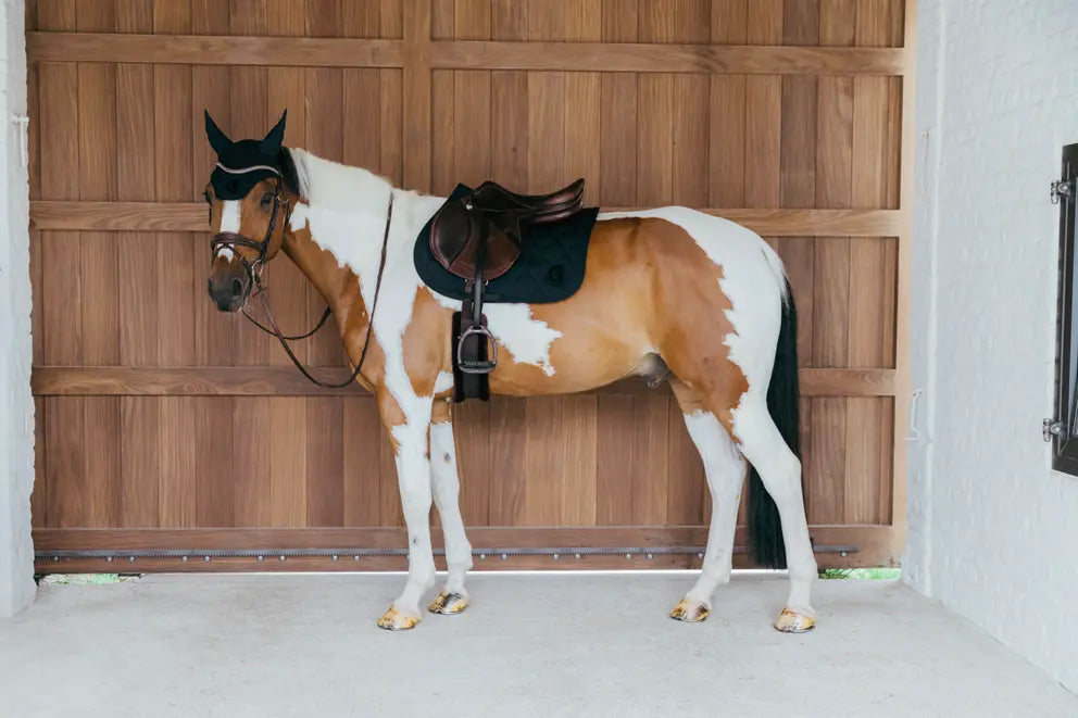 Saddle Pad Wave Jumping | + Colors