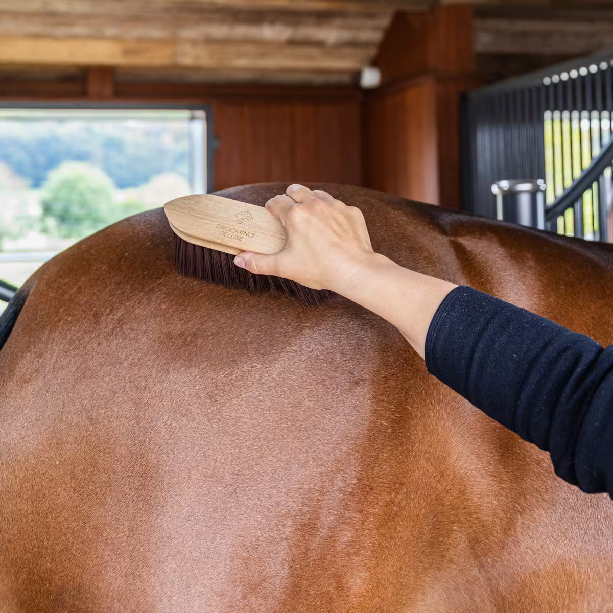 Wooden Classic Brush medium hard