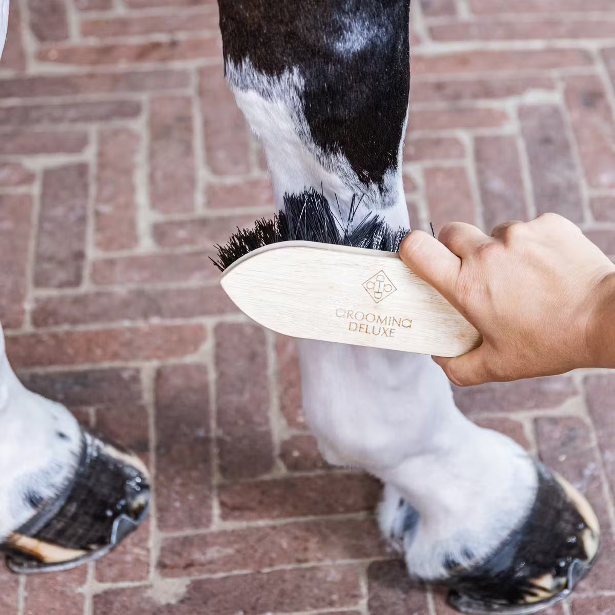 Wooden Classic Brush short hard