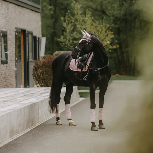 Velvet PEARLS Dressage Saddle Pad | Soft Rose