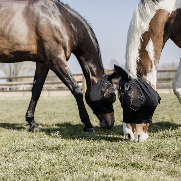 Fly Mask Slim Fit