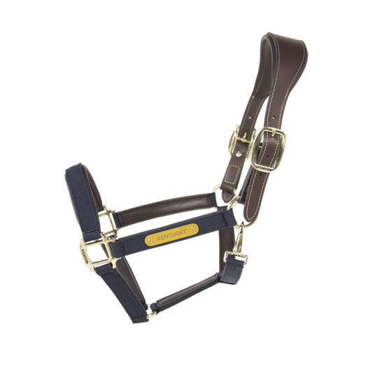 Nylon Anatomic Halter | Navy