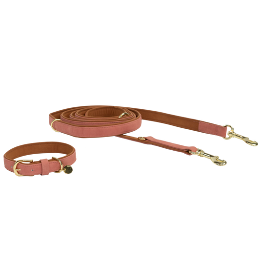 Laisse pour chien en cuir vegan | Pêche