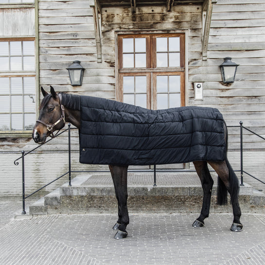 Horse Duvet 300g | Black