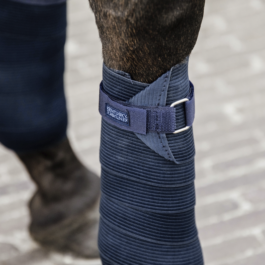 Elastic Bandages - Set of 2 | Navy