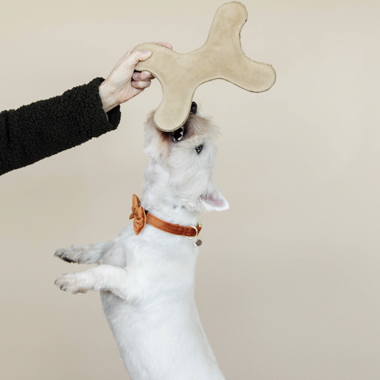 Pastel Bone Dog Toy | Beige