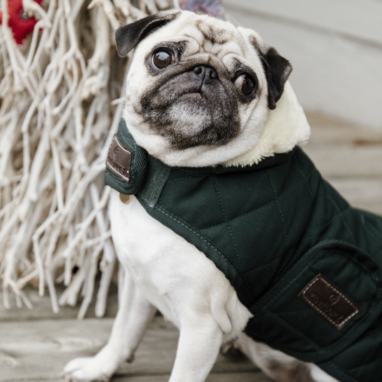 Dog Coat Original | Dark Green