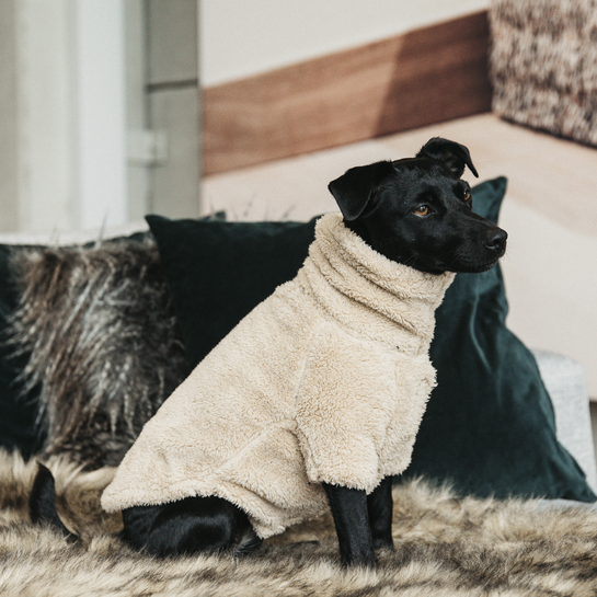 Dog Sweater Teddy Fleece | Beige