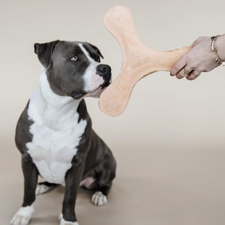 Pastel Boomerang Dog Toy | Peach