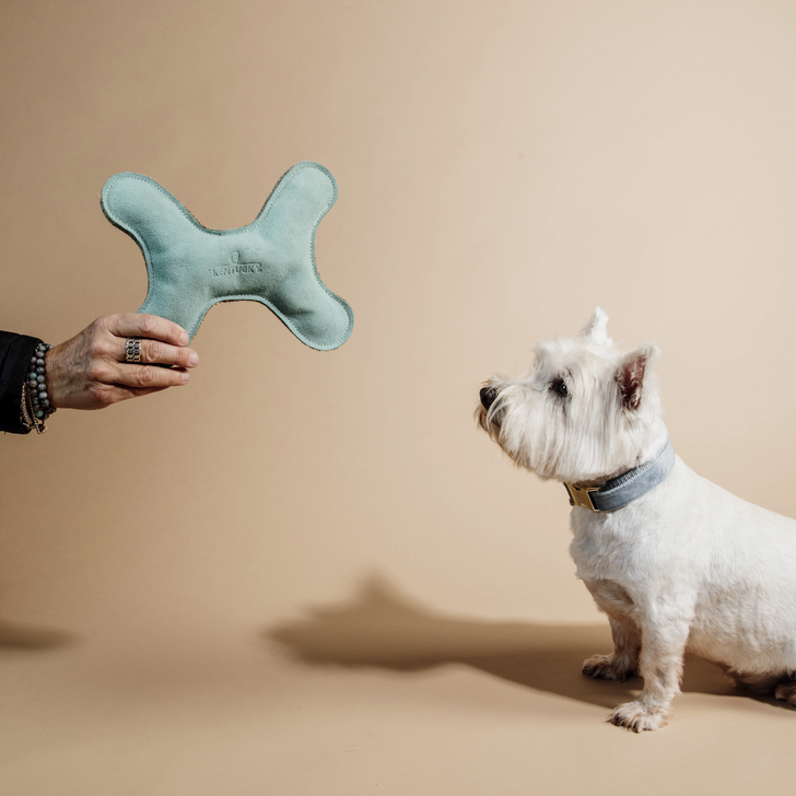 Pastel Bone Dog Toy | Emerald