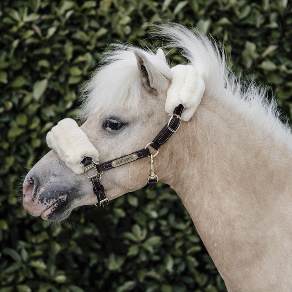 Leather Halter Sheepskin | Pony