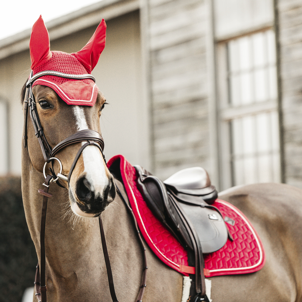 Velvet Jumping Saddle Pad | Red – LouRi & Co.