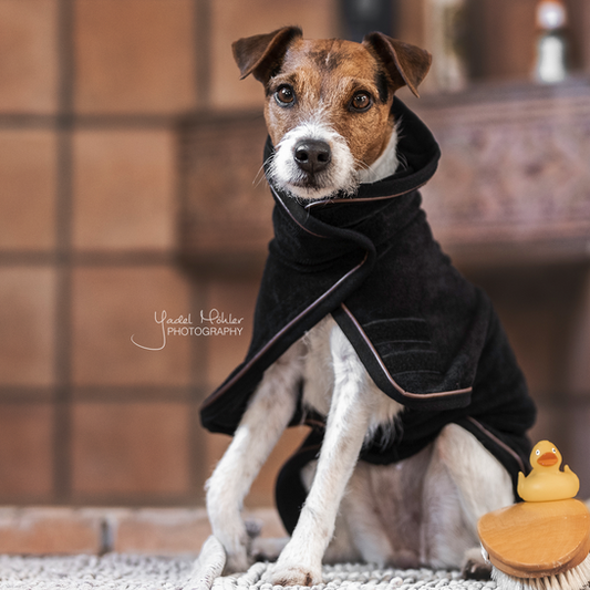 Serviette pour chien | Noir