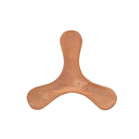 Pastel Boomerang Dog Toy | Peach