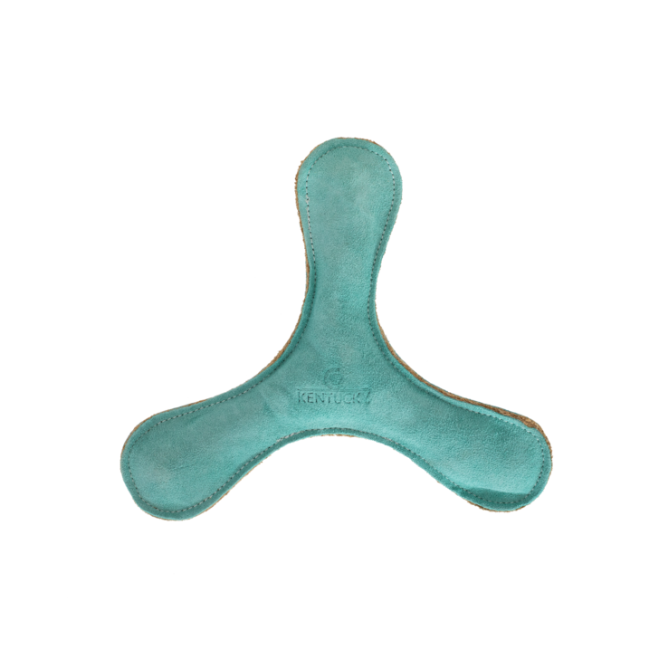 Pastel Boomerang Dog Toy | Emerald