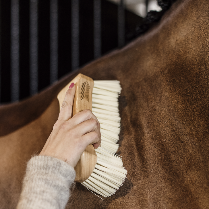 Body Brush | Middle Soft