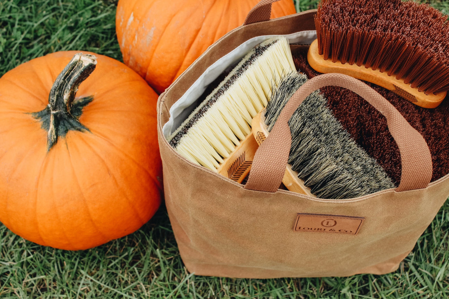 Grooming Tote