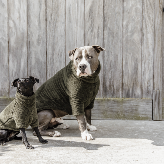 Dog Sweater Teddy Fleece | Pine Green