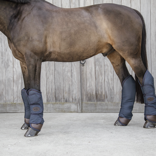 Travel Boots - Navy