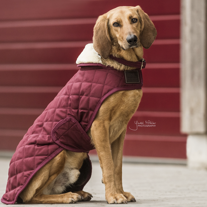 Dog Coat Original | Bordeaux