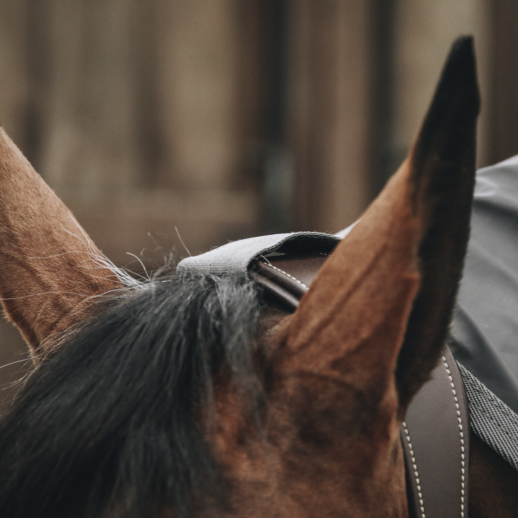 Horse Raincoat HURRICANE | Grey